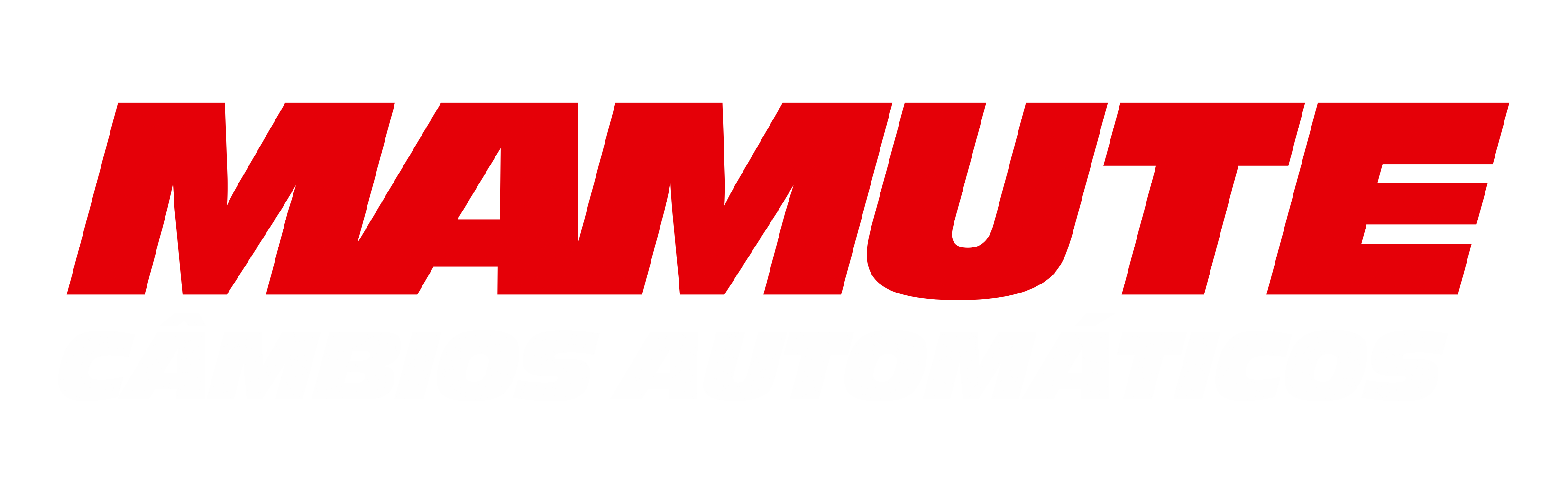 MAMUTE 2024